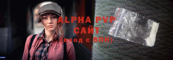 стаф Осташков