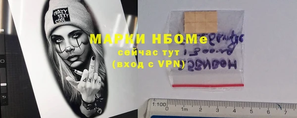 стаф Осташков
