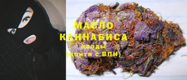 дмт Пересвет